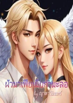 ผัวมาเฟียเมียกำมะลอ  (วิลเซนต์-ไอด้า) 