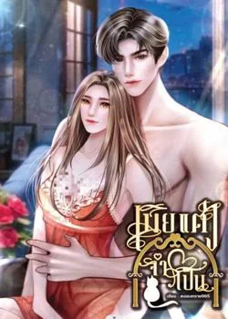 เมียแต่งจำเป็น