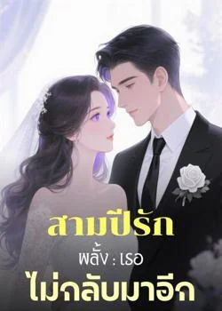สามปีรักพลั้ง : เธอไม่กลับมาอีก