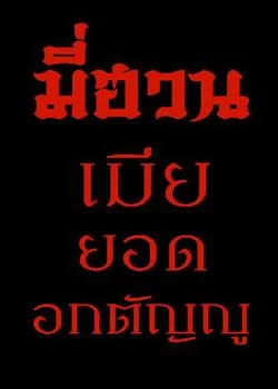 มี่ฮวน เมียยอดอกตัญญู