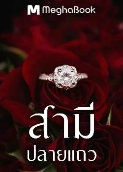 สามีปลายแถว