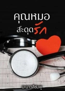 คุณหมอสะดุดรัก