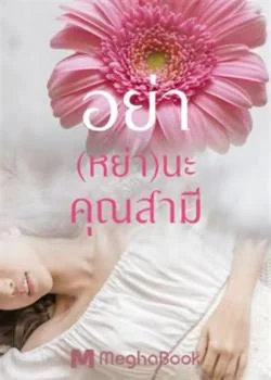 อย่า(หย่า)นะคุณสามี
