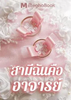 สามีฉันคืออาจารย์