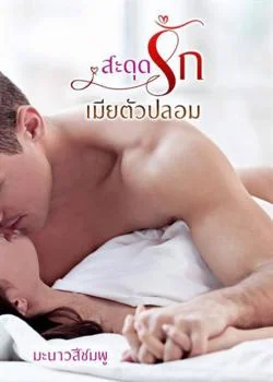 สะดุดรักเมียตัวปลอม