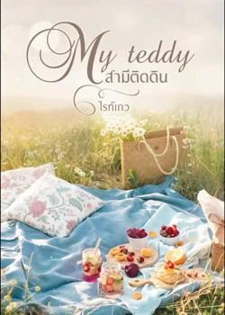My teddy สามีติดดิน