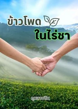 ข้าวโพดในไร่ชา (Mpreg)