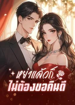 หย่าแล้วก็ไม่ต้องขอคืนดี