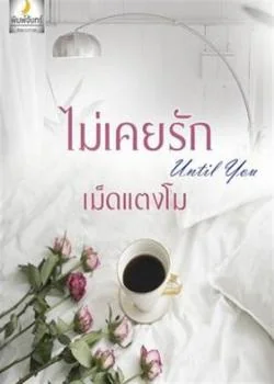 ไม่เคยรัก until you + ตอนพิเศษ